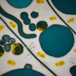Colorful Rectangular Fused Glass Bowl with Turquoise and Yellow Modern Abstract Design - Unique Gift - Conversation Piece