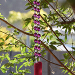 Purple Sun-catching Wind Chime for Patio or Garden - Glass and Acrylic - 30" Long