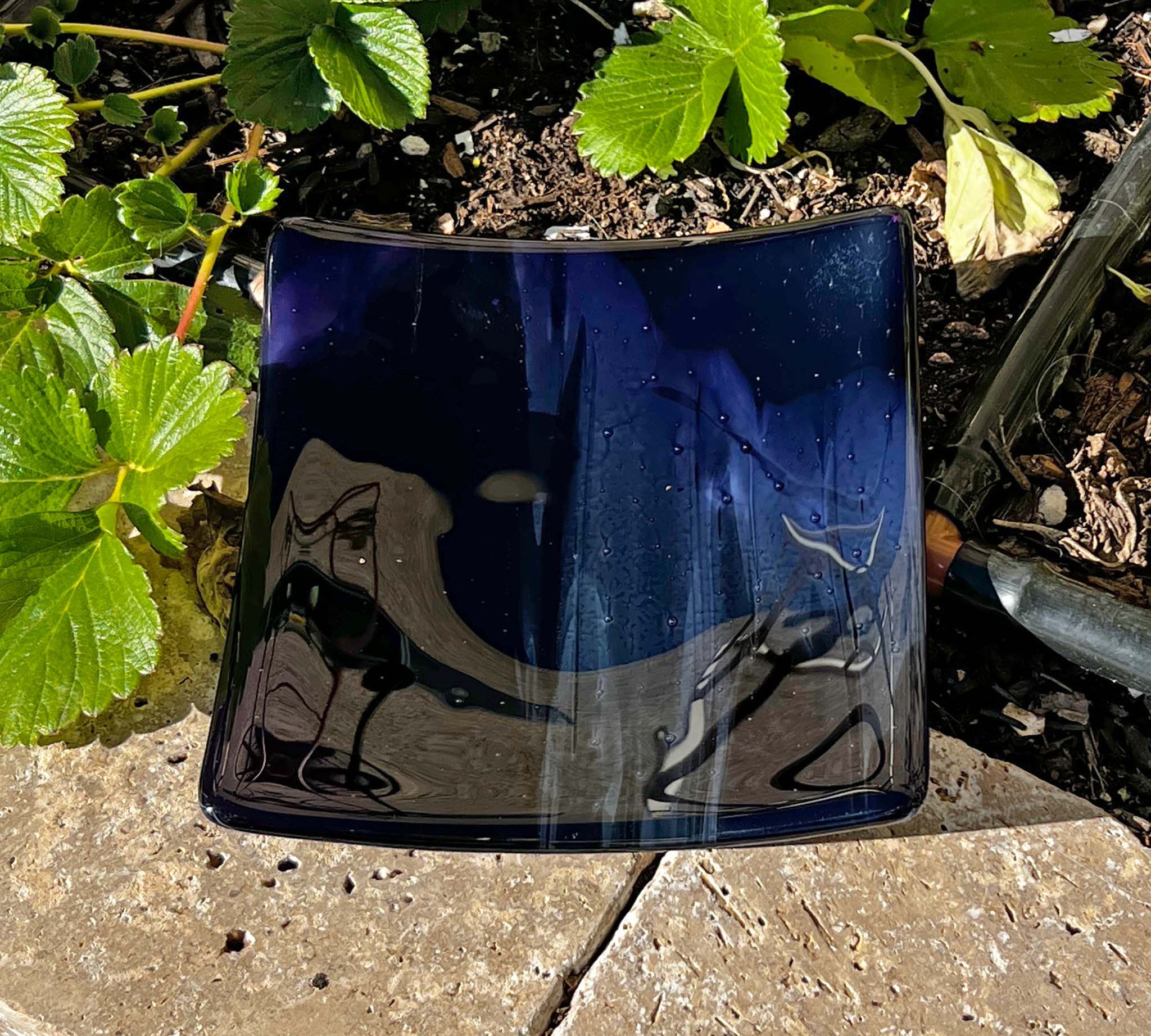 Deep purple glass dish, six inches square, resting on pavers in strawberry garden.