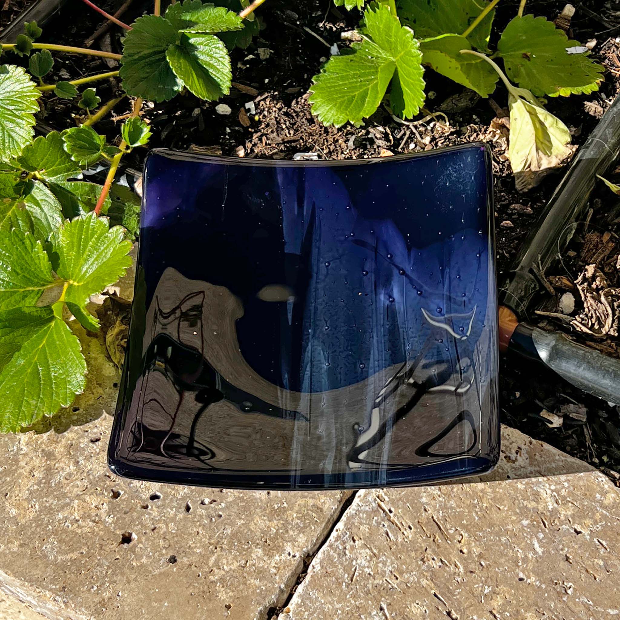 Deep purple glass dish, six inches square, resting on pavers in strawberry garden.